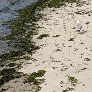 Meet your Posher, Liza